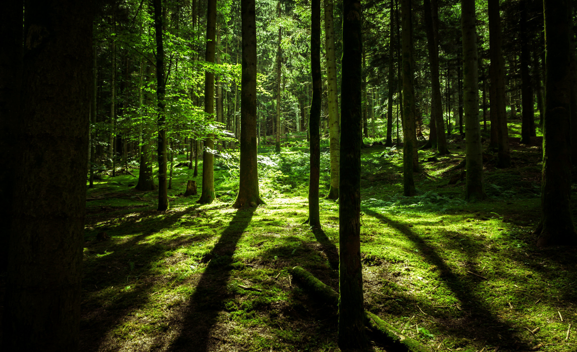 Waarom ecologische en duurzame gevelbekleding?