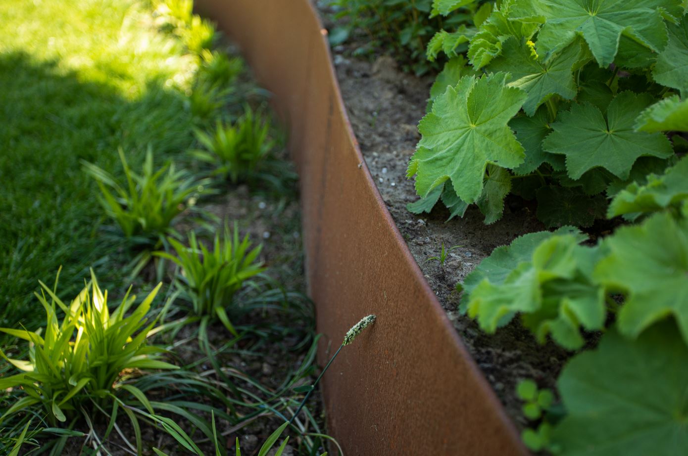 Flexline verhoogde border