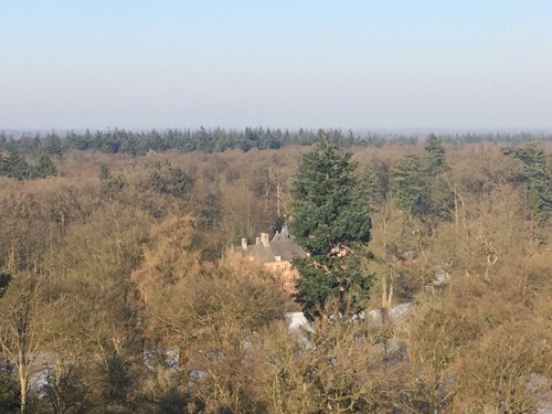 hoogste douglas boom nederland