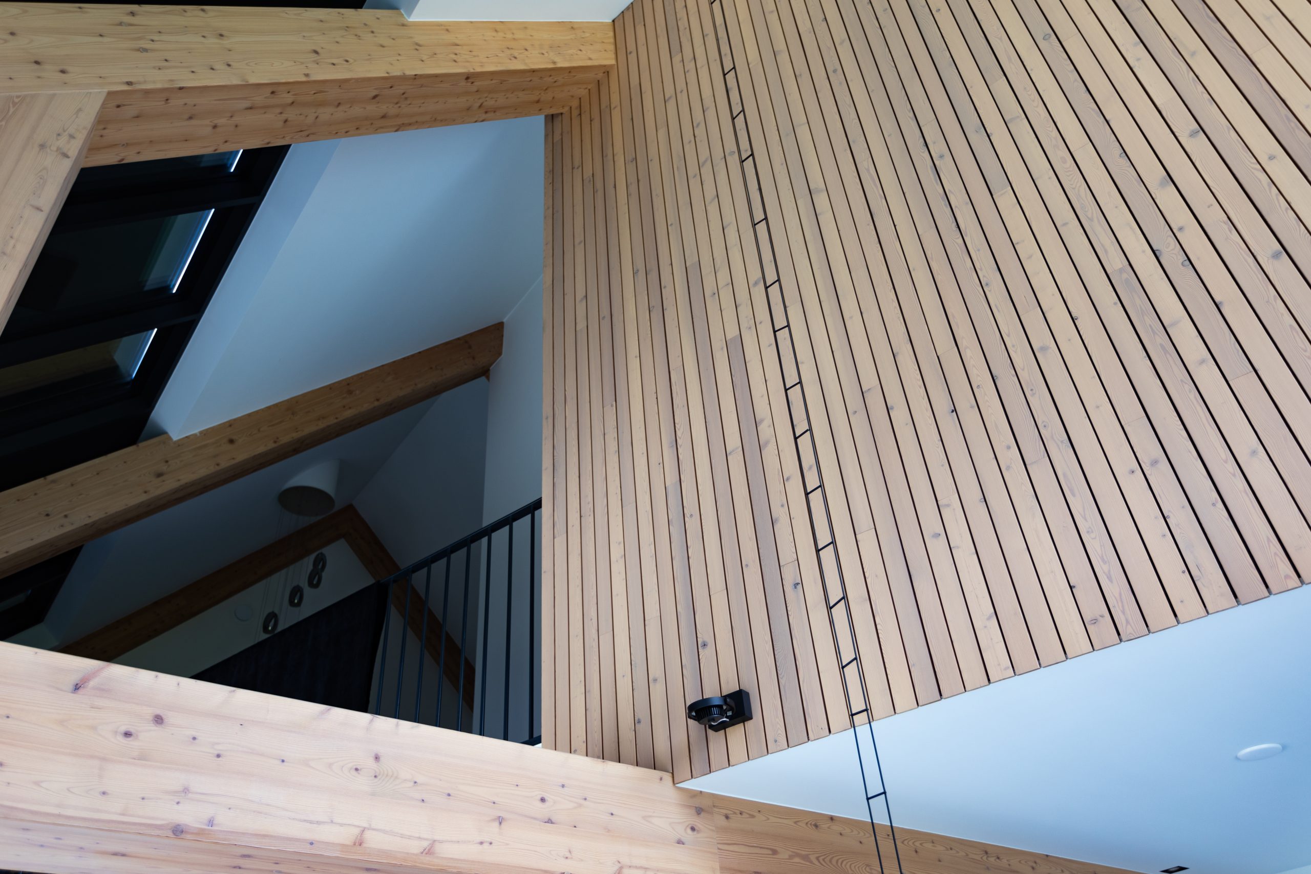 Binnen gevelbekleding Lariks