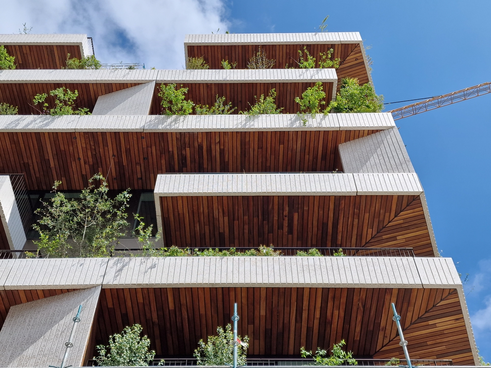 okan forestlines project okan forestlines project