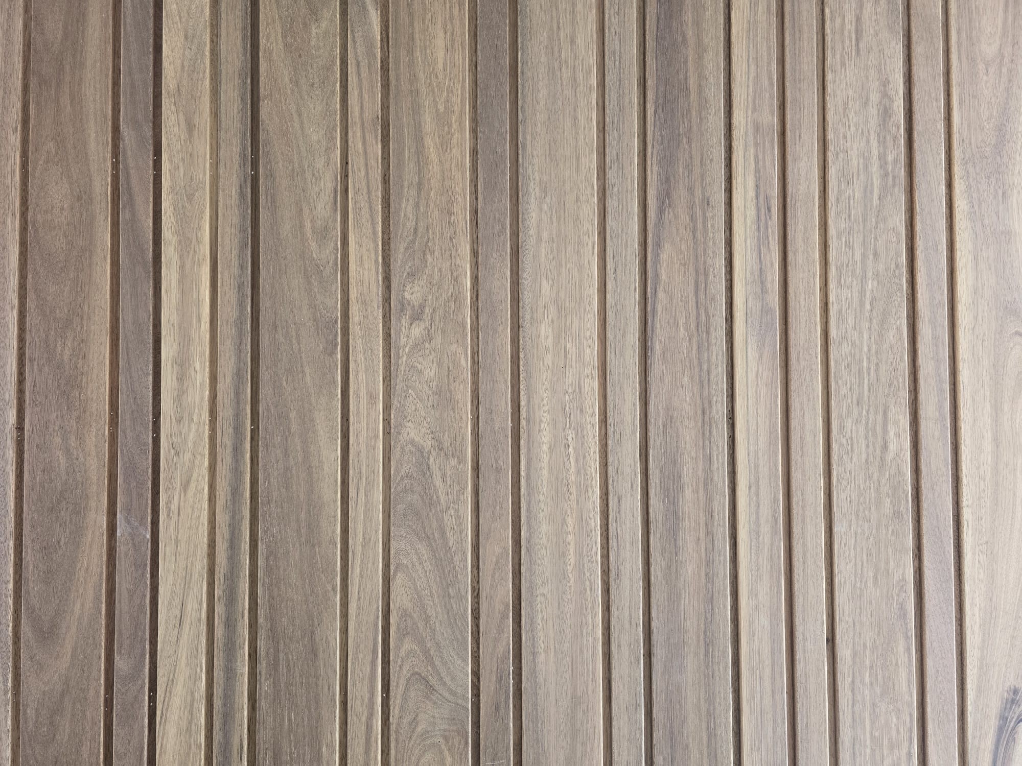 Basralocus gesloten verticale gevelbekleding | Bezoek showtuin